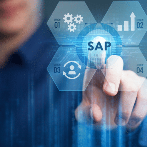 SAP consulting